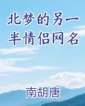 北梦的另一半情侣网名小说下载
