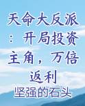 天命大反派：开局投资主角，万倍返利