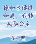 你和本侯提和离，我转头娶公主小说免费阅读