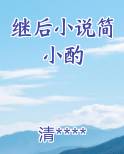 继后小说简小酌