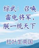 综武：召唤雷电将军，朕一统天下免费观看