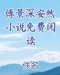傅景深安然小说免费阅读