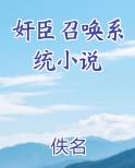奸臣召唤系统小说