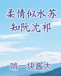 柔情似水苏知阮沈祁