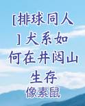 [排球同人] 犬系如何在井闼山生存