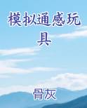 模拟通感玩具小说5200