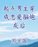 起点男主穿成恋爱脑炮灰后