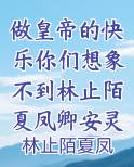 做皇帝的快乐你们想象不到林止陌夏凤卿安灵熏小说全集