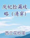 庆妃捡漏攻略（清穿）