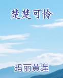 楚楚可怜小说排行榜