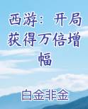 西游：开局获得万倍增幅