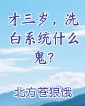 才三岁，洗白系统什么鬼？小说下载