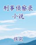 刑事侦察录小说