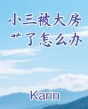 小三被大房艹了怎么办