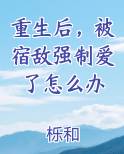 重生后，被宿敌强制爱了怎么办