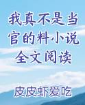 我真不是当官的料小说全文阅读