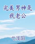 完美男神是我老公