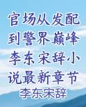 官场从发配到警界巅峰李东宋辞小说最新章节免费阅读