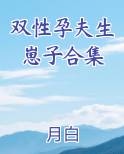 双性孕夫生崽子合集