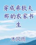 穿成乖软夫郎的农家书生