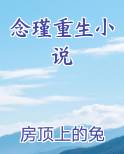 念瑾重生小说