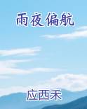 雨夜偏航