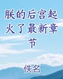 朕的后宫起火了最新章节