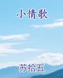 小情歌小说排行榜
