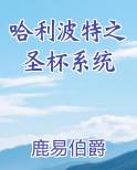哈利波特之圣杯系统笔趣阁免费阅读