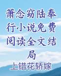 萧念窈陆奉行小说免费阅读全文结局