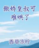 傲娇皇叔可难哄了