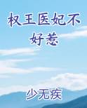 权王医妃不好惹