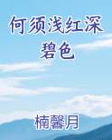 何须浅红深碧色