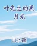 叶先生的黑月光