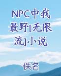 NPC中我最野[无限流]小说
