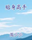 贴身高手