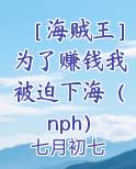 ［海贼王］为了赚钱我被迫下海（nph）