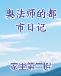 奥法师的都市日记