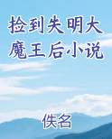 捡到失明大魔王后小说