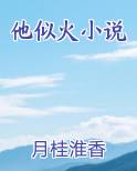 他似火小说