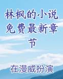 林枫的小说免费最新章节