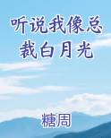 听说我像总裁白月光