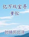 亿万双宝寻爹忙